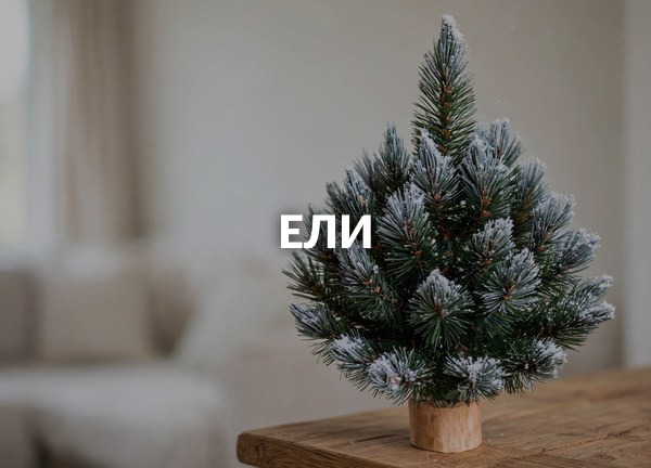 Ели