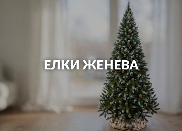 Елки Женева