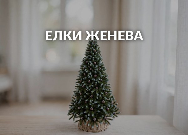Елки Женева