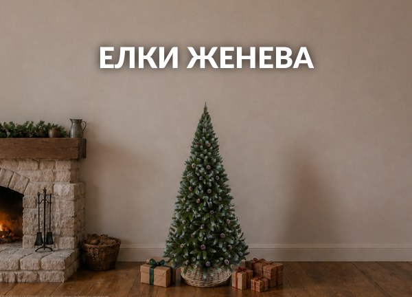 Елки Женева