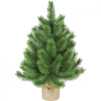 Ель Нортон EDELMAN B.V., 45 см, в мешочке, заснеженная