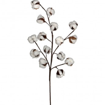 Веточка хлопка HOUSE OF SEASONS 80 см белая