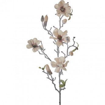 Веточка магнолия HOUSE OF SEASONS 77 см бежевая